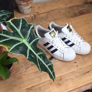 Original Adidas Superstars (Gold)